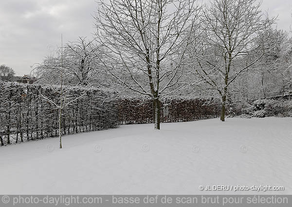 jardin sous la neige